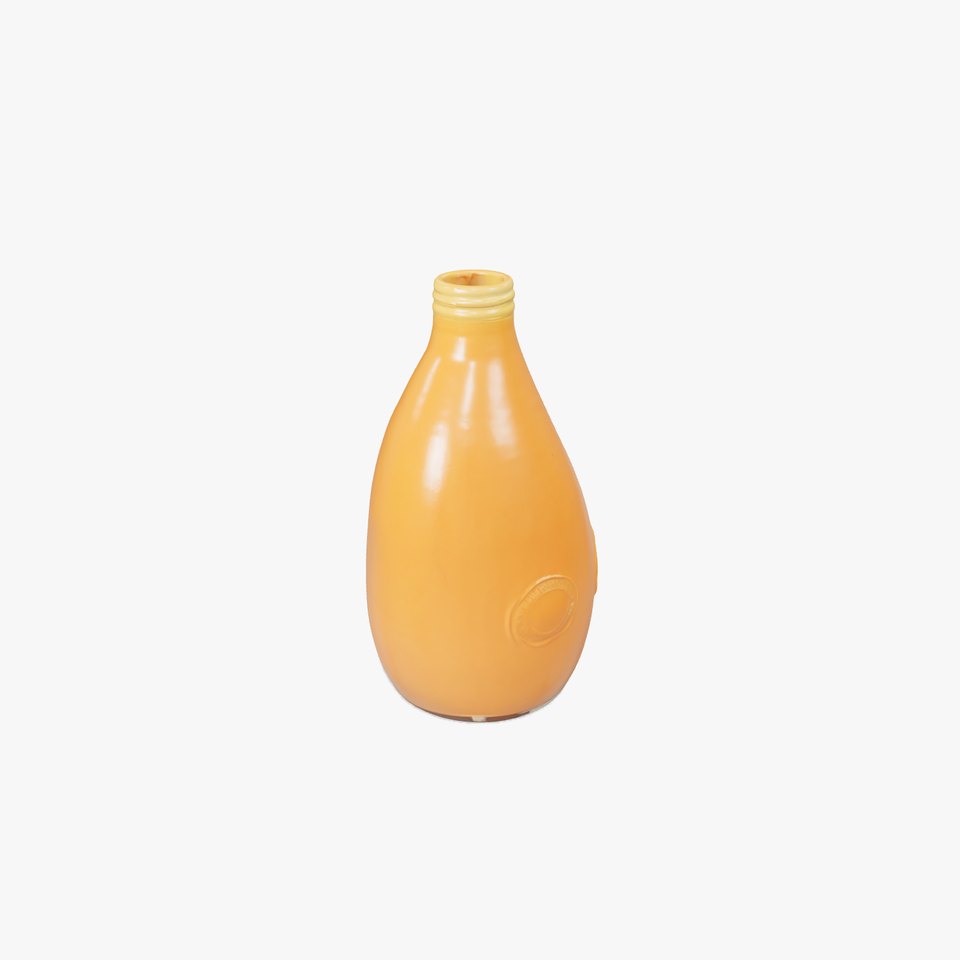 Orange Juice Bottle model pack