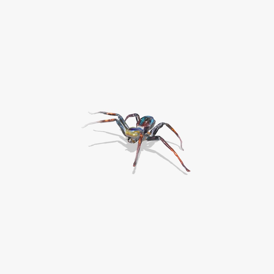 Iridescent Spider model pack