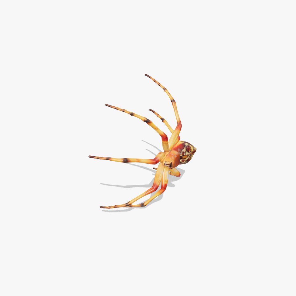 Desert Arachnid model pack