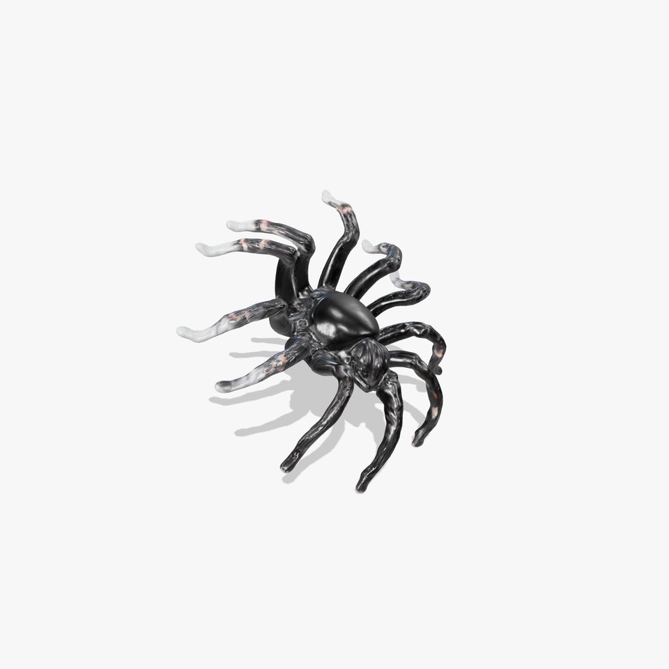 Black Tarantula Intricate model pack
