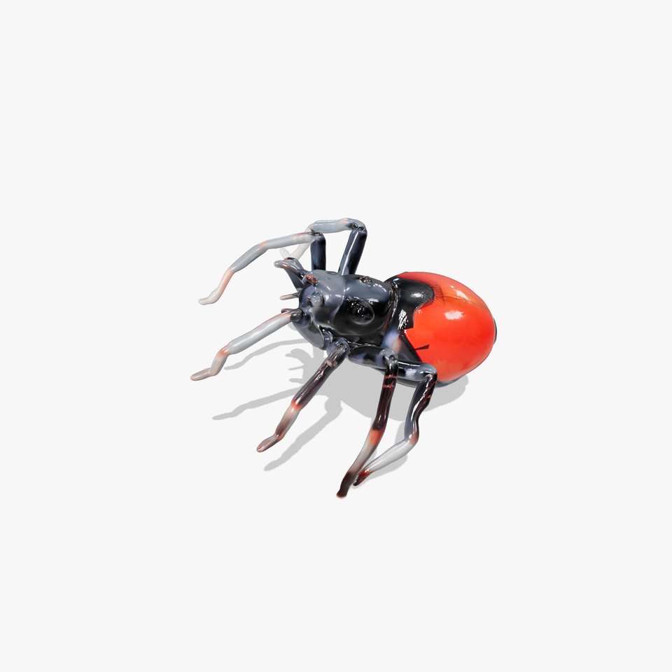 Red Back Spider model pack
