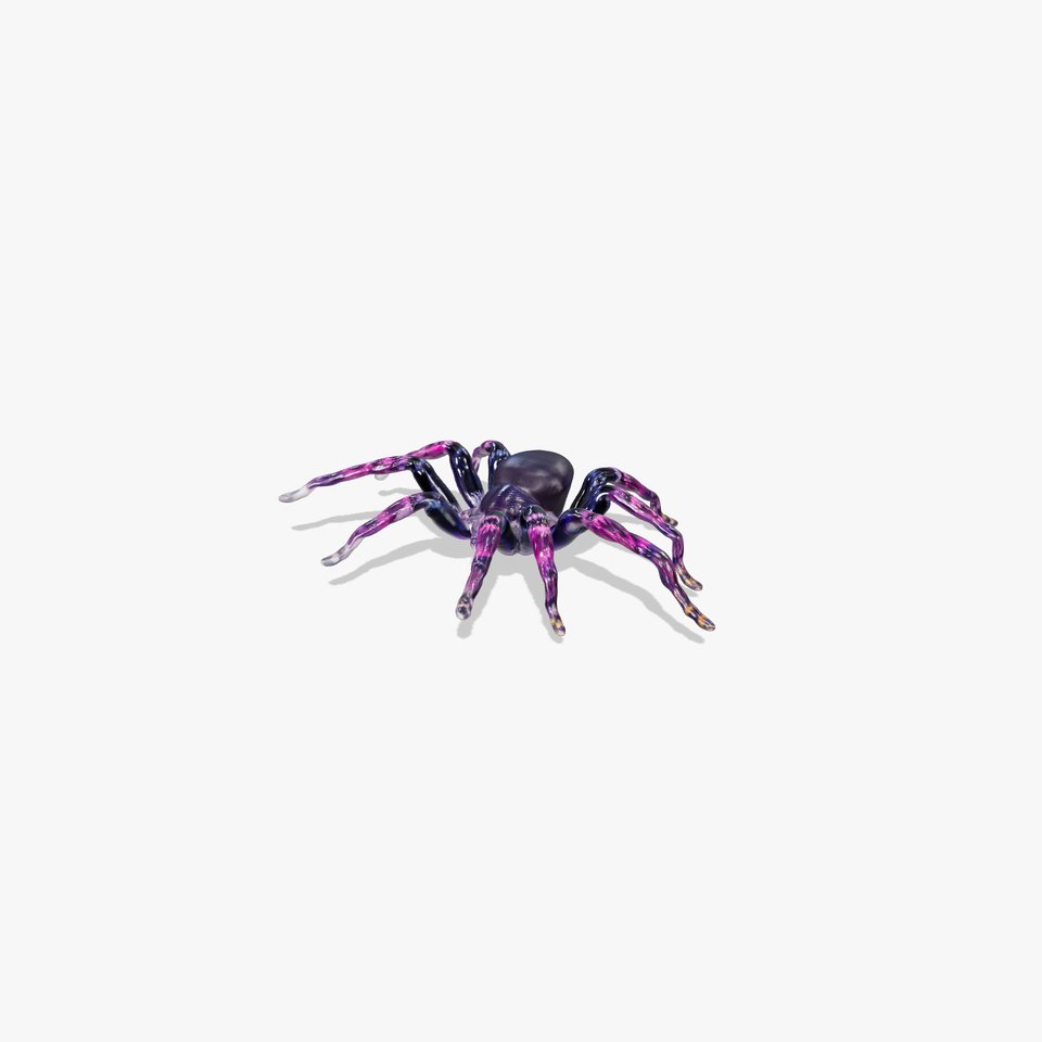Vibrant Tarantula model pack