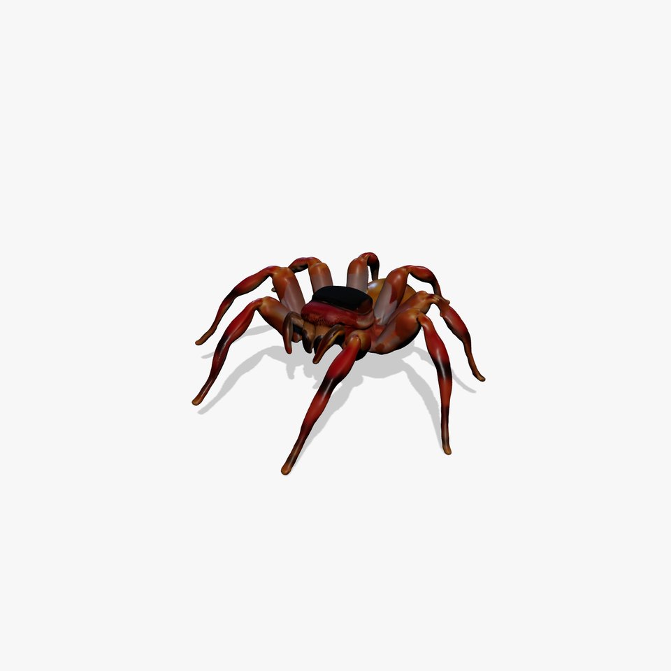 Golden Arachnid model pack