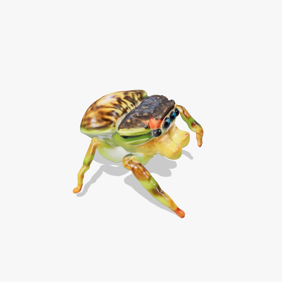 Vibrant Jumping Spider model pack