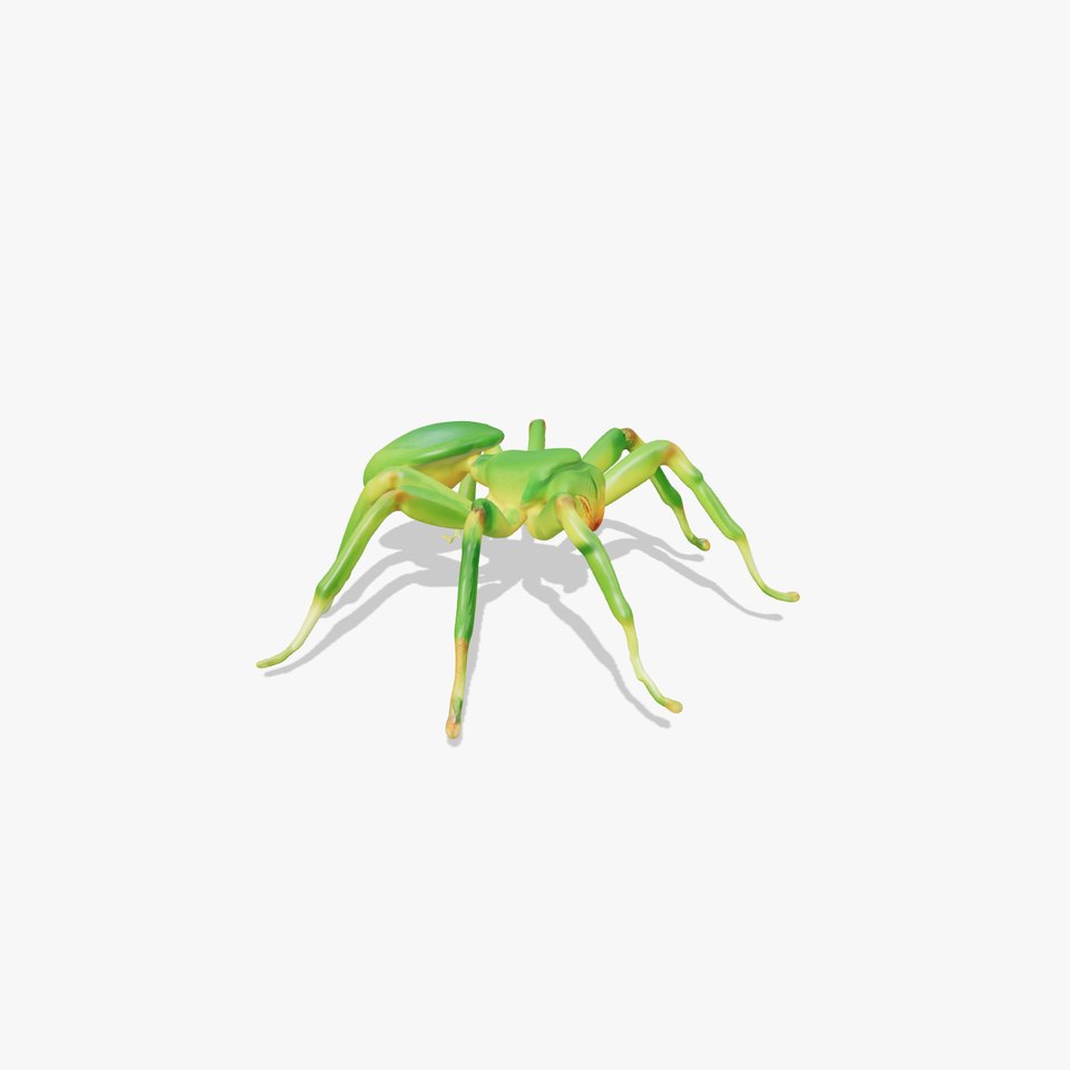 Vibrant Green Spider model pack