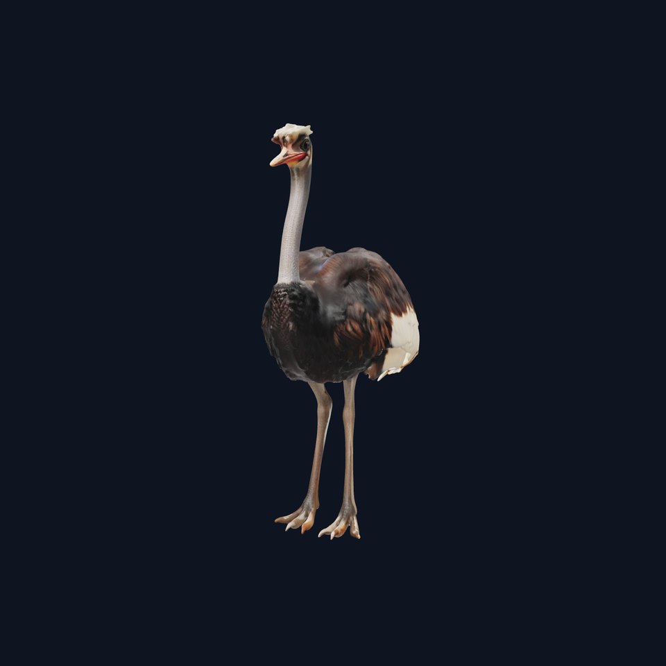 Elegant Ostrich Brown model pack