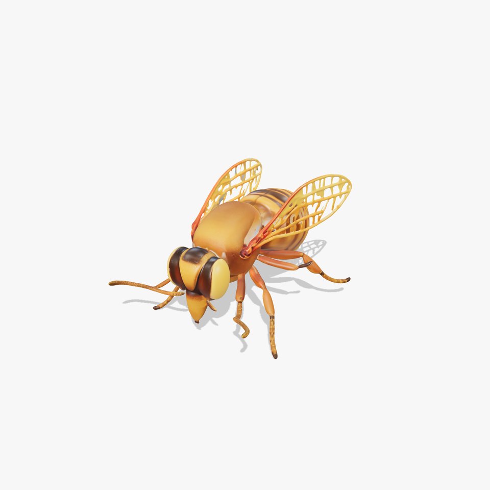 Golden Bee Creature model pack