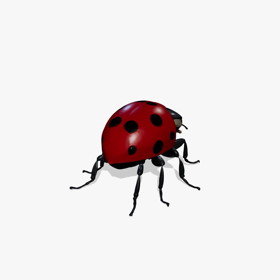 Vibrant Ladybug model pack