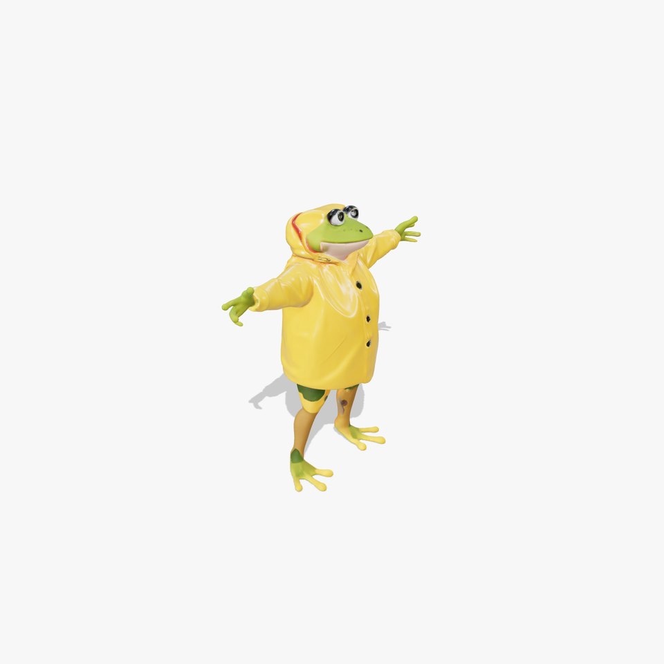 Cheerful Frog Raincoat model pack