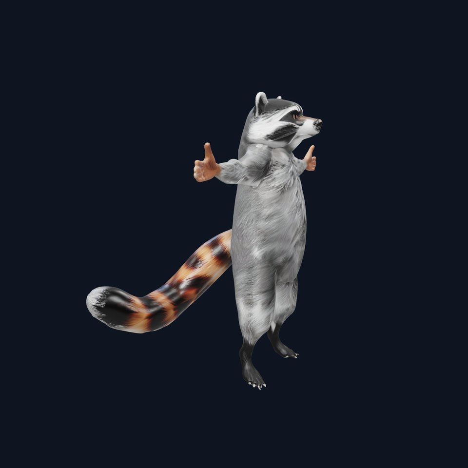 Grey Raccoon Fur model pack