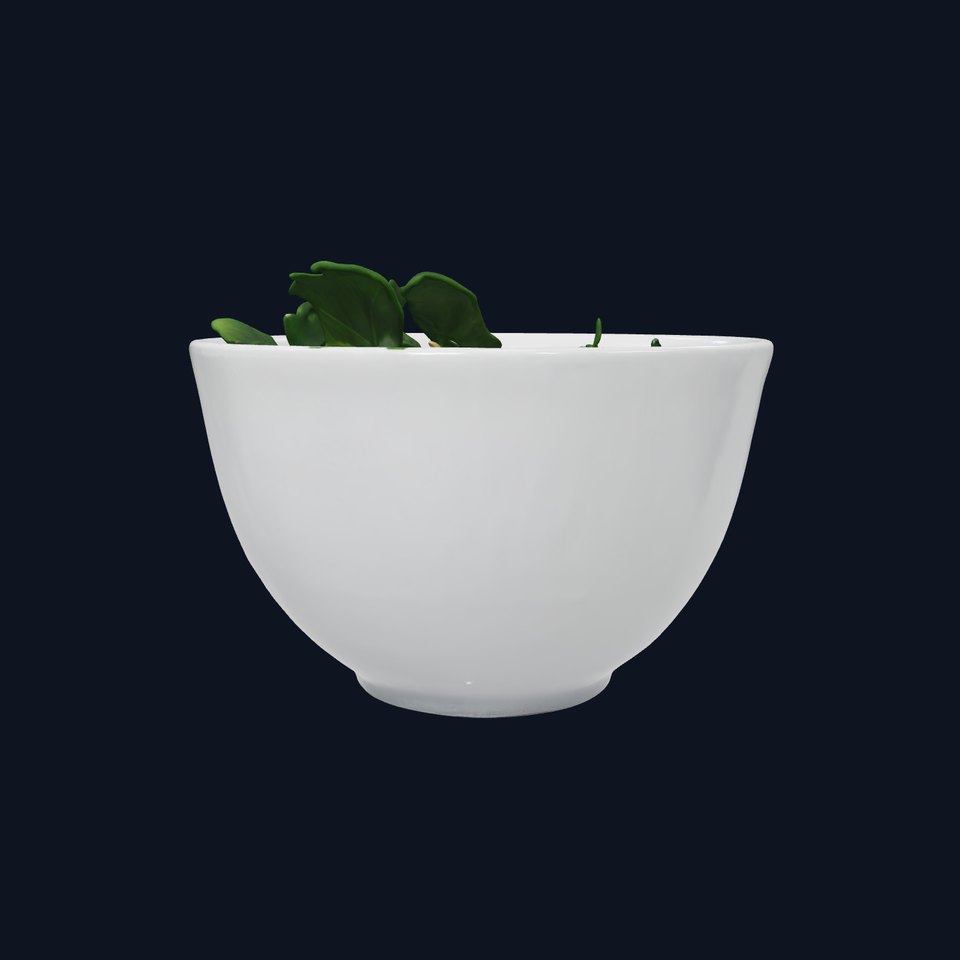 Hearty Soup Bowl model pack