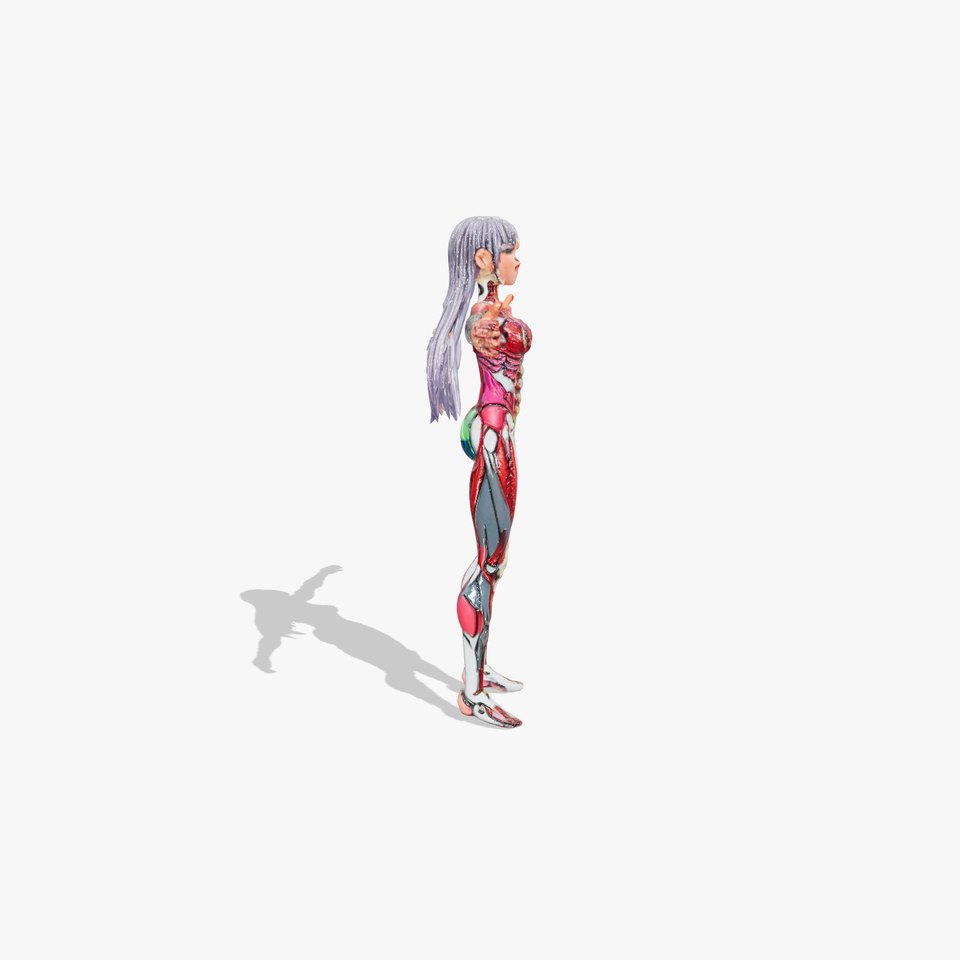 Anatomical Female Figure model pack