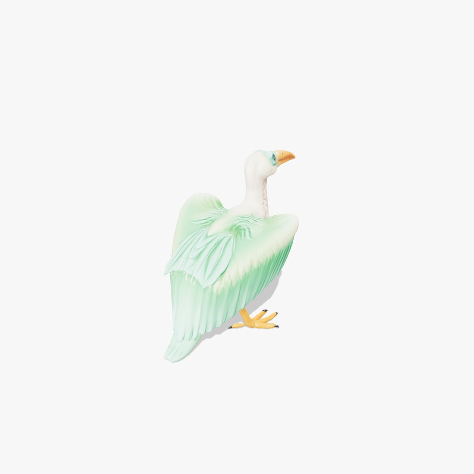 Pastel Feathered Bird model pack